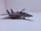 IMG_6439.jpeg