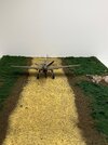 IMG_6536.jpeg