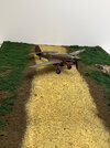 IMG_6537.jpeg