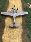 IMG_6543.jpeg