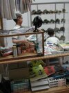 1 tamiya_shop_diorama_2-731212.jpg