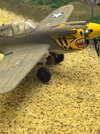 IMG_6698.jpeg