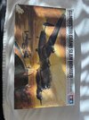 IMG_6781.jpeg