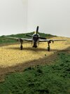 IMG_6828.jpeg