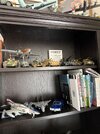 IMG_6838.jpeg