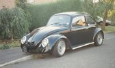 Matts Beetle.jpg