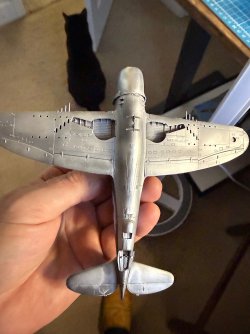 IMG_7241.jpeg