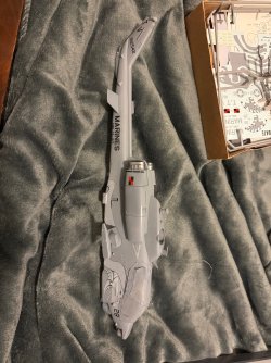 IMG_7419.jpeg