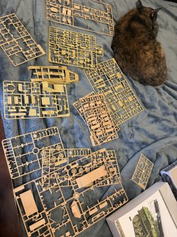 IMG_7541.jpeg