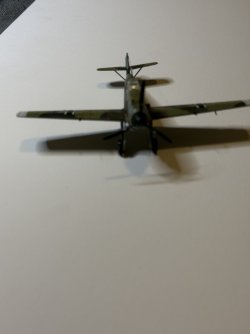 IMG_7615.jpeg