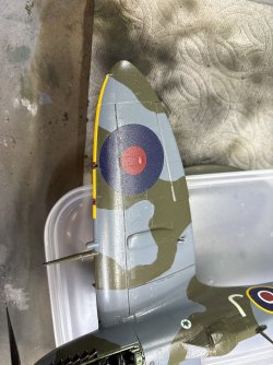 IMG_4711.jpeg