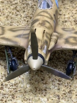 IMG_7696.jpeg