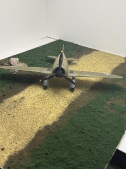 IMG_7780.jpeg