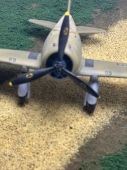 IMG_7781.jpeg