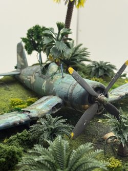 IMG_7801.jpeg