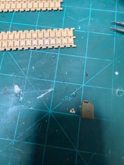 IMG_7834.jpeg