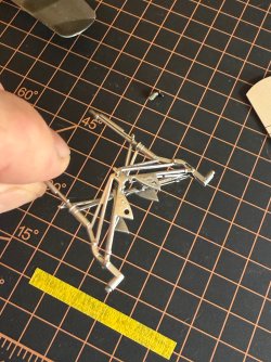 IMG_7907.jpeg