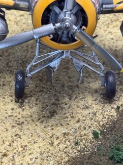IMG_7996.jpeg