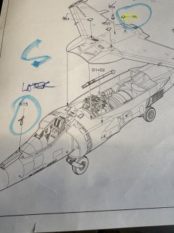 IMG_4828.jpeg