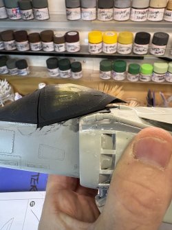 IMG_4824.jpeg