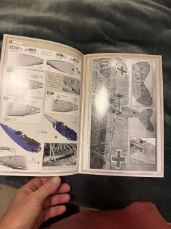 IMG_8017.jpeg