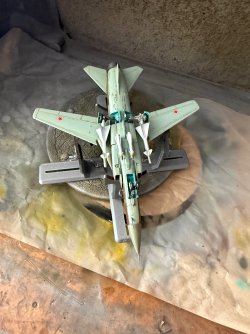 IMG_8051.jpeg