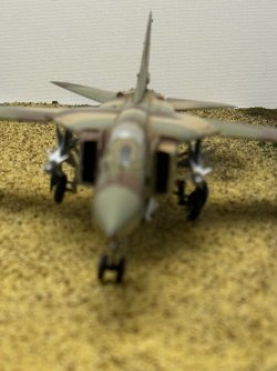 IMG_8064.jpeg
