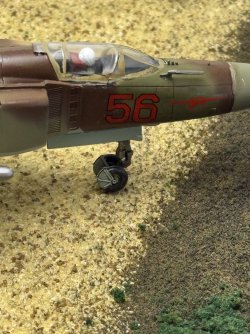 IMG_8070.jpeg
