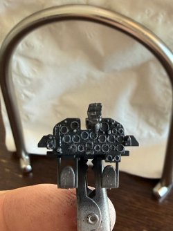 IMG_8102.jpeg