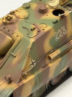 IMG_8213.jpeg