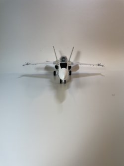 IMG_4727.jpeg