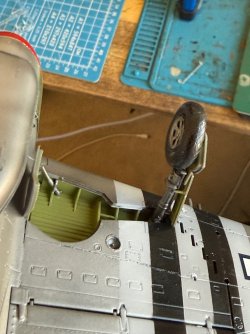 IMG_8277.jpeg