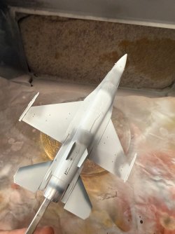 IMG_8303.jpeg