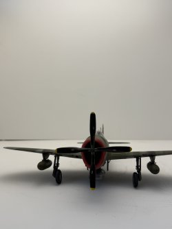 IMG_8356.jpeg