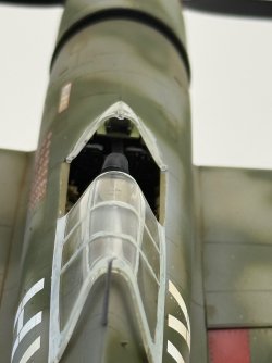 IMG_8359.jpeg