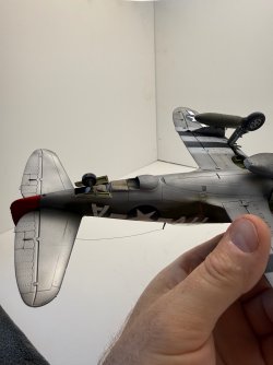 IMG_8364.jpeg