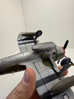 IMG_8363.jpeg