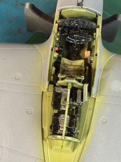 IMG_8834.jpeg