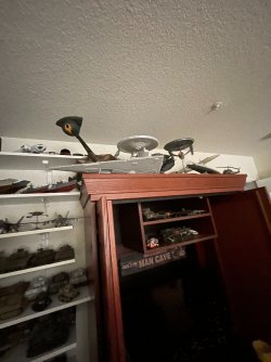 IMG_2169.jpeg