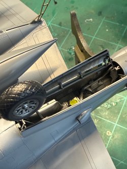 IMG_9013.jpeg