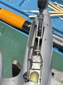 IMG_9014.jpeg