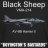 BlackSheepTwoOneFour
