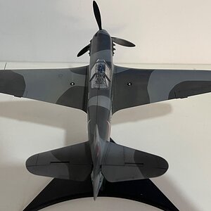 IMG_9020.jpeg