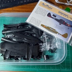 thumbnail (25).jpg