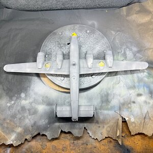 IMG_6806.jpeg