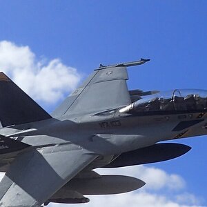 P2211914a.JPG