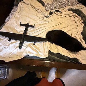 IMG_6883.jpeg
