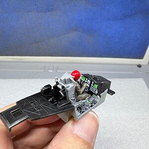 IMG_4870.jpeg