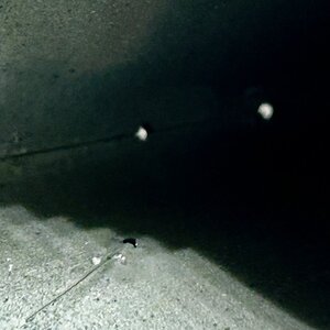 IMG_2242.jpeg