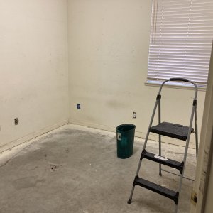 IMG_5181.jpeg